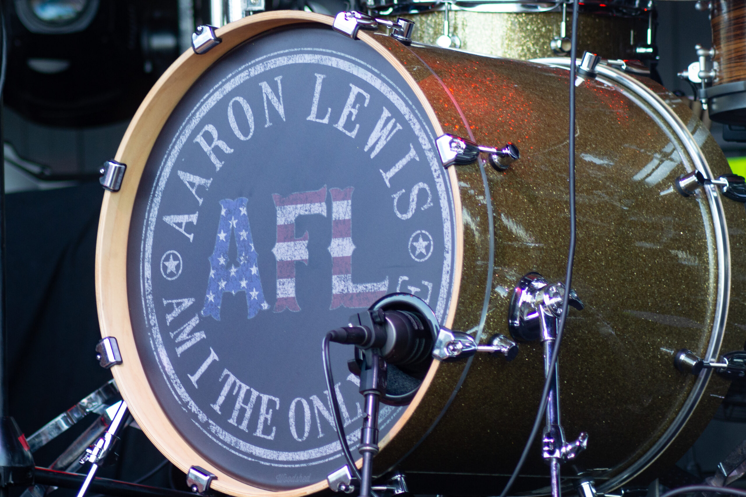 Aaron Lewis drum head