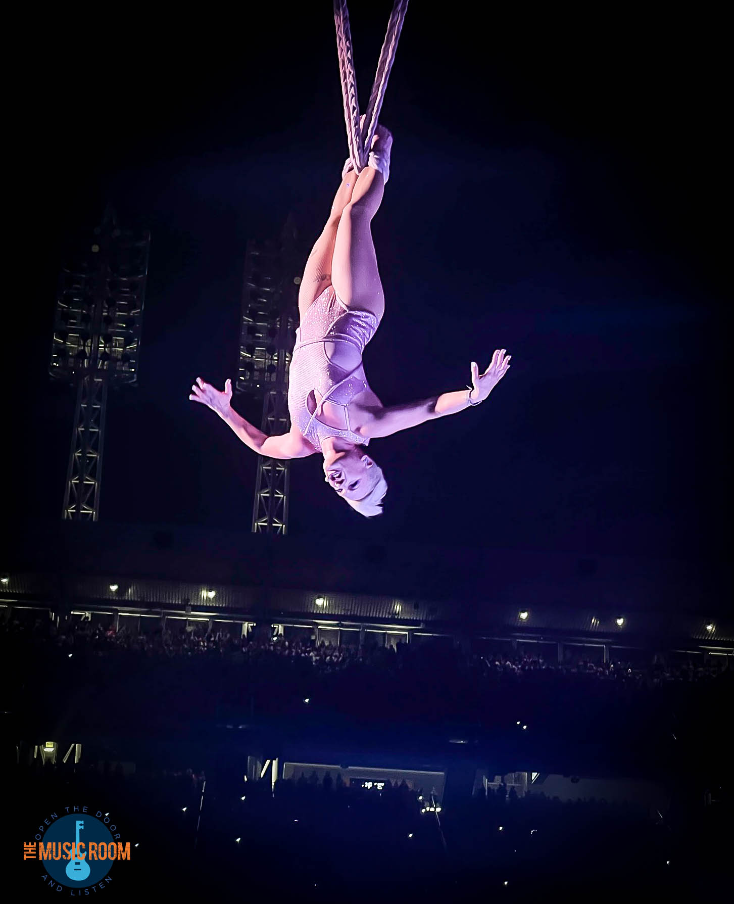 P!NK Hanging Upside Down