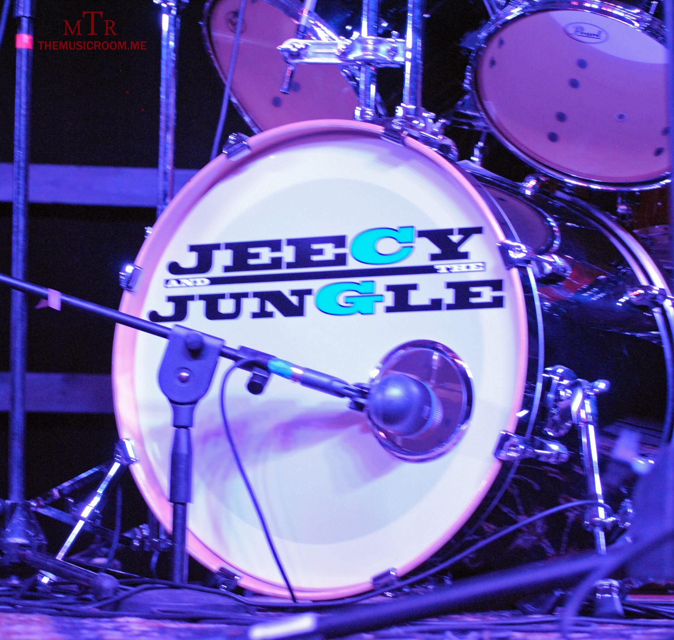 jeecy-and-the-jungle