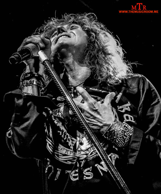 whitesnake-17